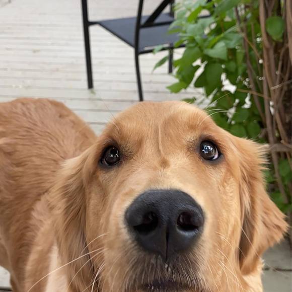 Meet your Posher, Daniela - Picture 1 of 1